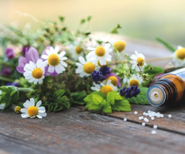 Banner für Homöopathie udn Naturheilkunde: Fläschchen mit Globulis vor verschiedenen frischen Heilpflanzen